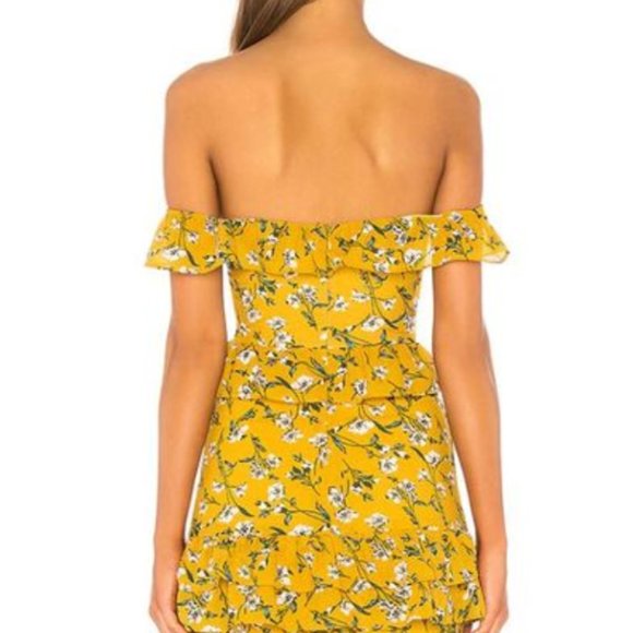 XS Revolve Dress - Lily Dress - Picture 2 of 3